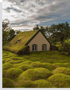 Cottages in nature